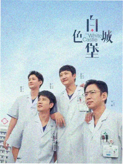 双面账本 商战剧在线观看
